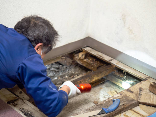 Water Damage Restoration in Swartz Creek, MI