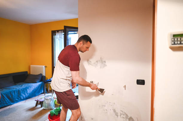 Professional Mold Removal in Swartz Creek, MI